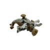 B Plus Mushroom Spores