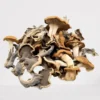 Hillbilly Mushroomss