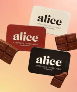 alice mushroom chocolate