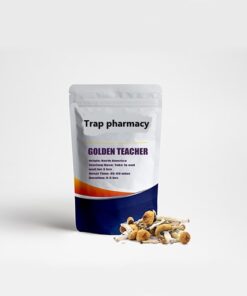 buy golden teacher mushroom